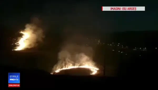 Incendiu de vegetație pe dealurile din Ștefănești, Argeș. Focul, pus intenționat
