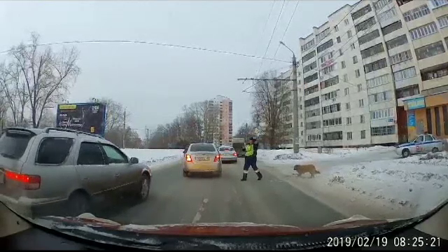 Momentul în care un polițist oprește traficul pentru ca un câine șchiop să treacă strada