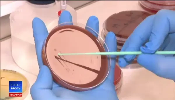 ”Marius Nasta”, un focar de infecție, vechi de 100 de ani: 4 bacterii multi-rezistente