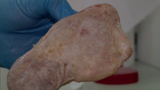 Ghetaria - Inspectorul Pro