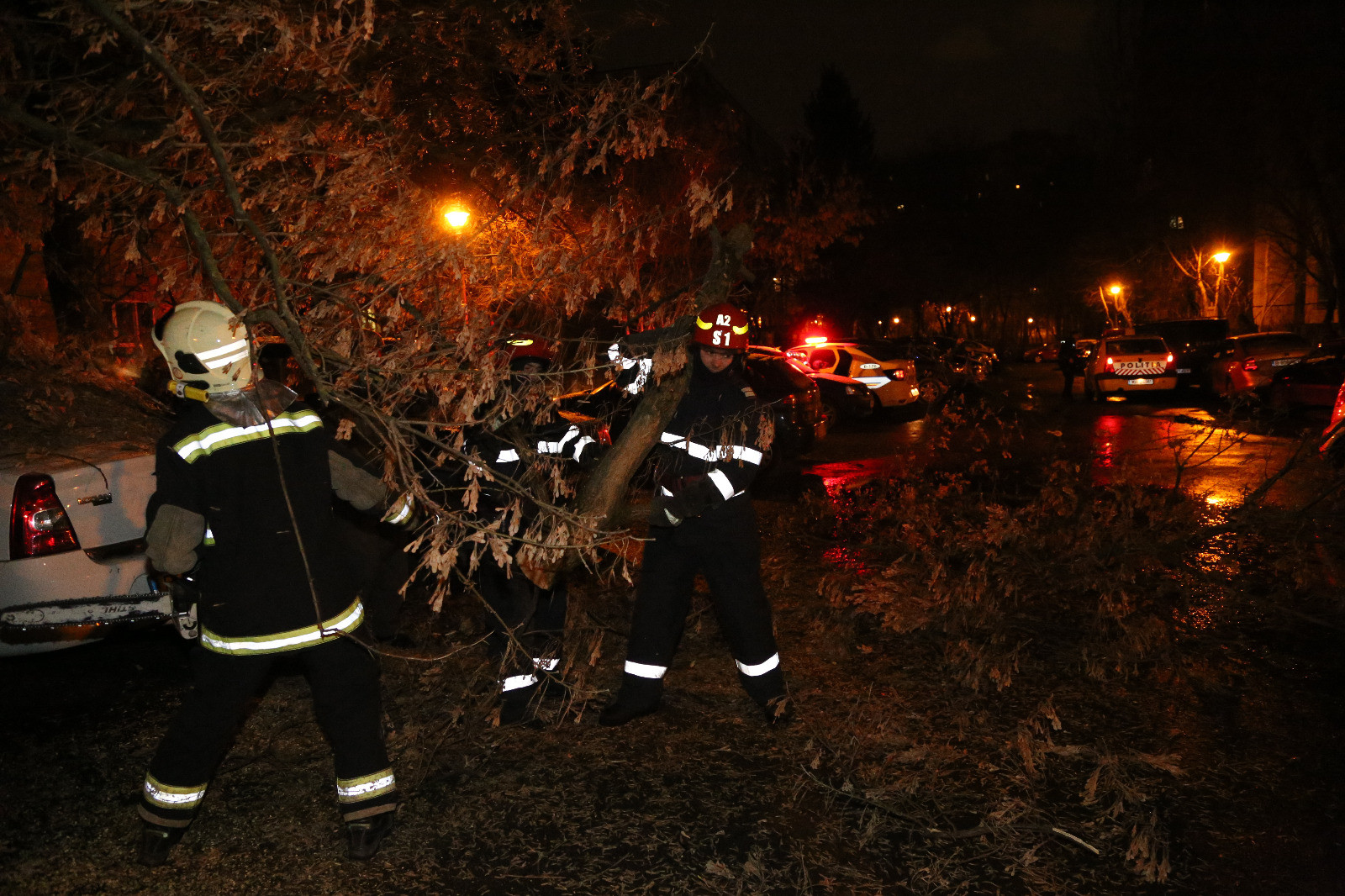 Drumuri blocate din cauza vântului şi viscolului. Copaci şi stâlpi au căzut pe şosele