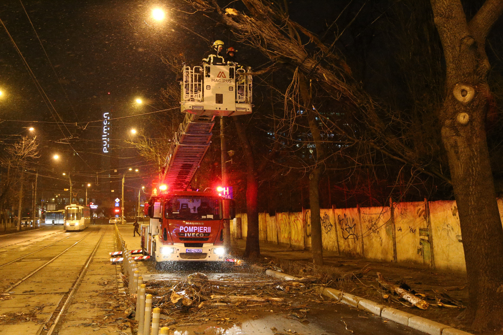 copaci cazuti in Capitala