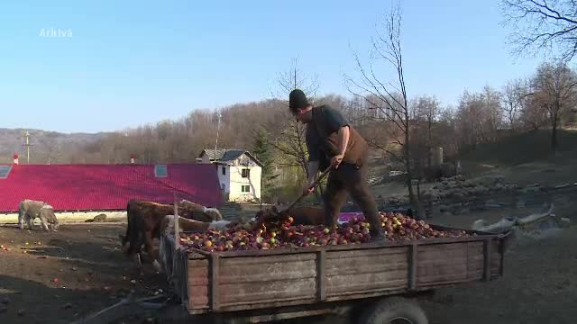 Luăm mere poloneze, iar cele românești ajung la animale. ”Încă 4-5 ani suntem sclavii lor”