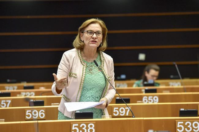 Glume și critici la adresa Mariei Grapini după audierea lui Kovesi: ”Nu meritați votul meu”