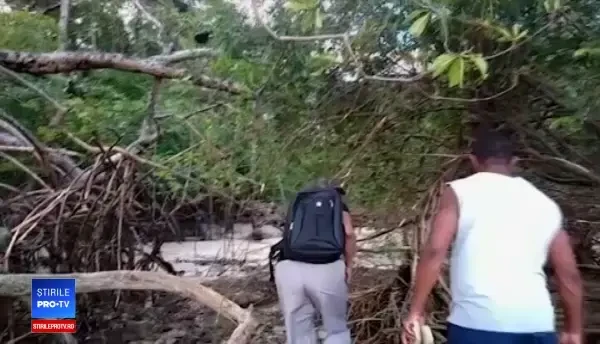 Descoperire uimitoare în jungla amazoniană. Reacția cercetătorilor. VIDEO