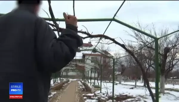 Bătrânii și copiii bolnavi din centre din Gorj ar fi fost drogați. DIICOT a început ancheta