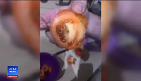 Specialiștii avertizează că piața e plină de ”roșii toxice”. Semnele legumelor sănătoase