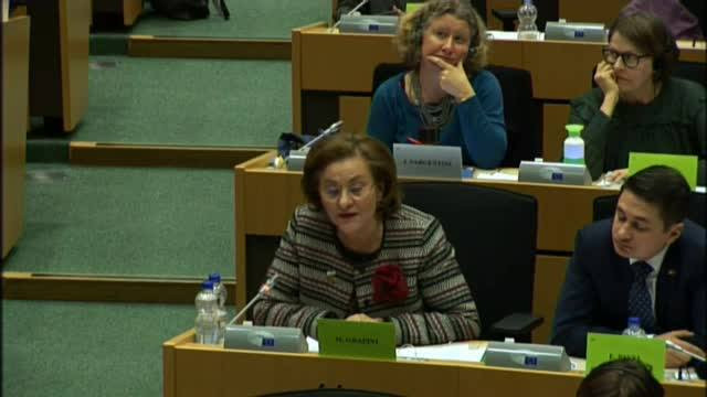 Momentul în care Maria Grapini sare peste un vot în favoarea lui Kovesi. Cine a renumărat