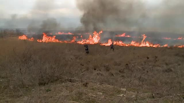 Delta Dunării, mistuită de incendii puternice, de 3 săptămâni. Flăcările, provocate de localnici