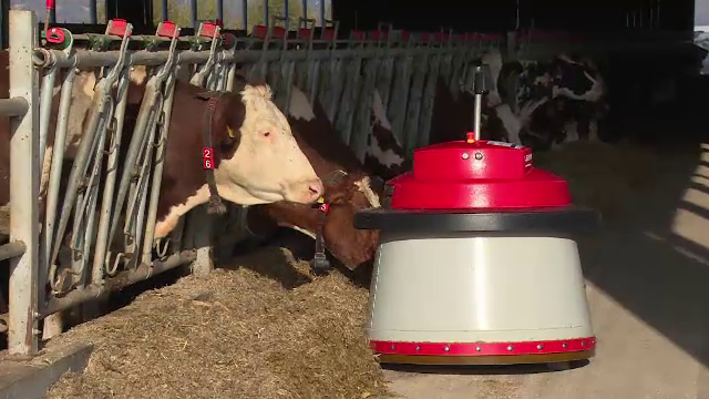 Zilierii, înlocuiţi de roboţi la fermele din România. "Dacă n-ai cine să culeagă mere..."