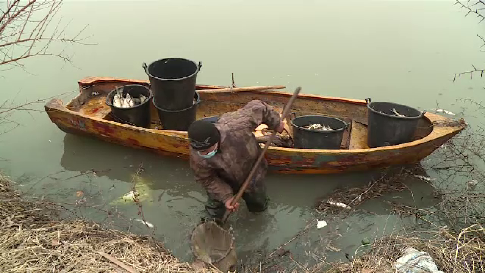 Aeroportul Otopeni amendat pentru poluare. Cum au murit peștii din lacurile Capitalei
