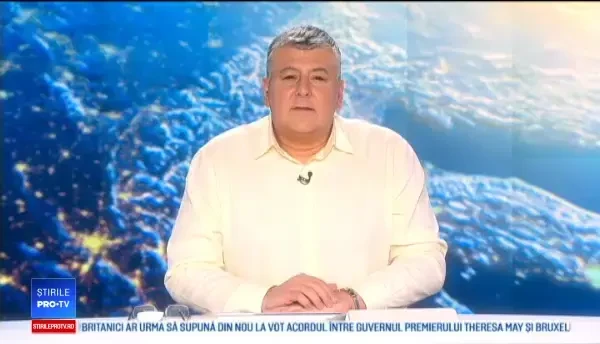 Pui de urs, găsit pe marginea unui drum. Au crezut inițial că este un animal de pluș