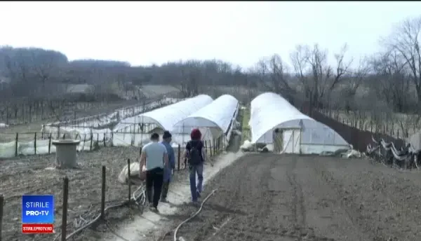 România se întoarce la aprozarele şi alimentarele de stat. Planul autorităților