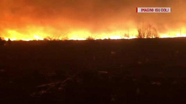 20 de hectare de vegetație au luat foc în Dolj. Ce au găsit pompierii pe câmp