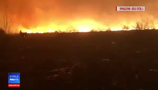 20 de hectare de vegetație au luat foc în Dolj. Ce au găsit pompierii pe câmp