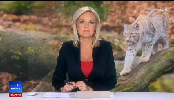 Imagini inedite cu capturarea unui râs, în Bacău