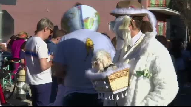 La New Orleans sunt organizate 50 de parade, cele mai multe din istoria acestui carnaval