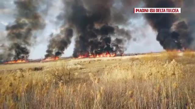 Focul pus de localnici în Delta Dunării s-a extins și a amenințat mai multe localități