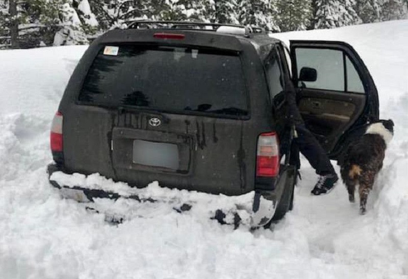 Cum au supraviețuit un bărbat și câinele său, blocați 5 zile într-o mașină