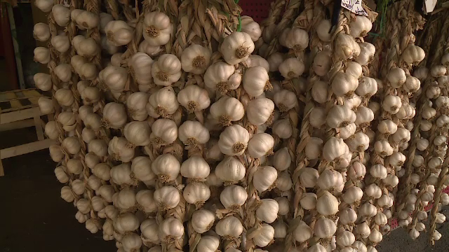 Programul ”Usturoi 2019”: 40 de fermieri din Botoșani au cerut sprijin financiar