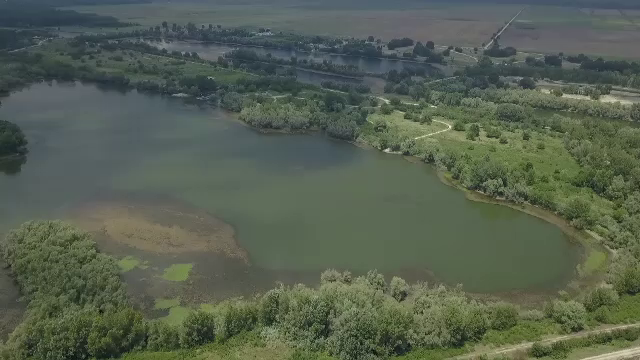 Dosarul Belina. Avocaţii vor să demonstreze că este o doar o baltă de peşte