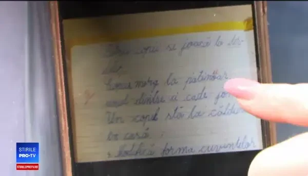 Sora elevului corectat greșit s-a dus la învățător să îi ceară explicații. Ce a pățit