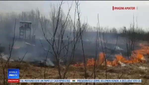 A dat foc gunoaielor din curte, dar a ajuns să distrugă bunurile valoroase ale vecinilor