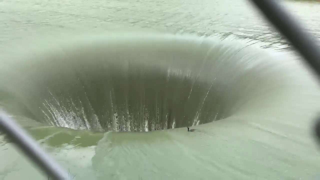 Anunț neașteptat: ce s-a întâmplat cu cormoranul care a căzut în gaura de 61 de metri