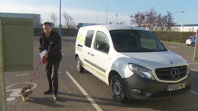 Stăpânii de animale vor fi afectați de Brexit. Analiza care costă 260 de lire