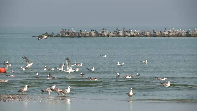 Când se deschide sezonul estival 2019. Noutățile anunțate de hotelieri