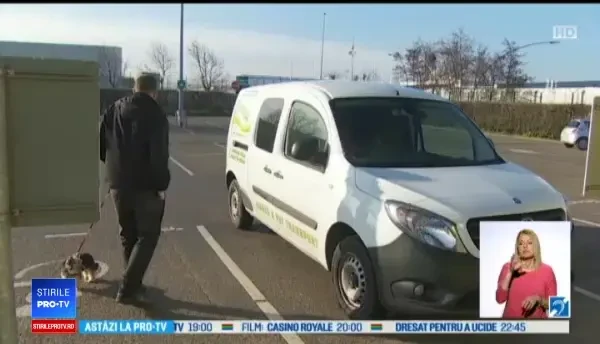 Stăpânii de animale vor fi afectați de Brexit. Analiza care costă 260 de lire