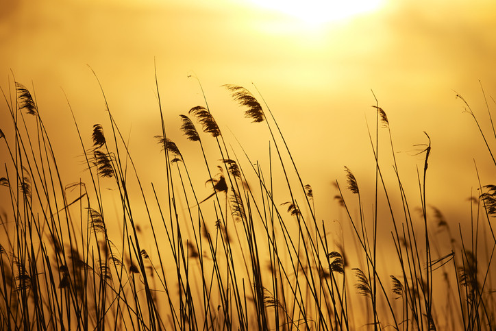 Cod portocaliu în 3 judeţe. Vântul va atinge 130 km/h