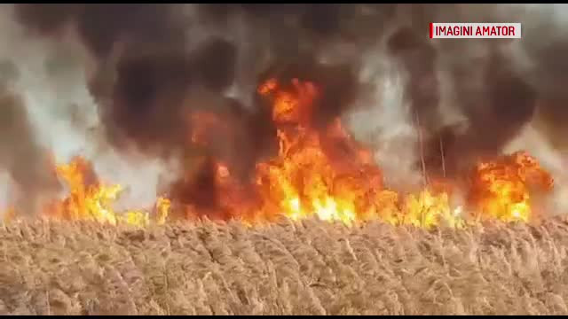 Incendiile de vegetație, un pericol tot mai mare. Autorii, greu de găsit