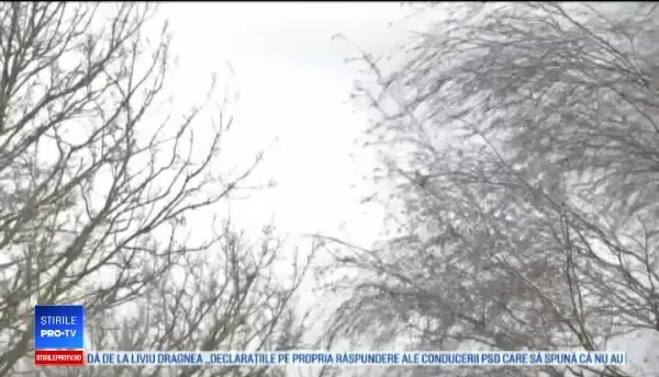 Furtunile au provocat probleme mari în Europa. Vântul a suflat cu rafale de uragan