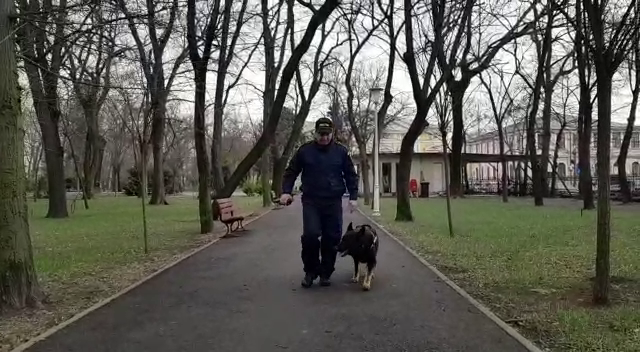 Tâlhar periculos prins în Brăila de Vog, câinele polițist. Cum i-a luat urma