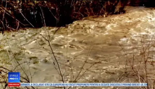 Reacția unui bărbat din Botoșani când s-a trezit cu copacul în casă: „Să scot eu bani”