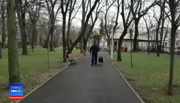 Tâlhar periculos prins în Brăila de Vog, câinele polițist. Cum i-a luat urma