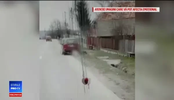 Viceprimar din Argeș, surprins târând un câine pe șosea. Explicația bărbatului