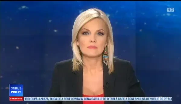 O șoferiță de 22 de ani a intrat cu mașina într-un cap de pod. Ce suspectează polițiștii