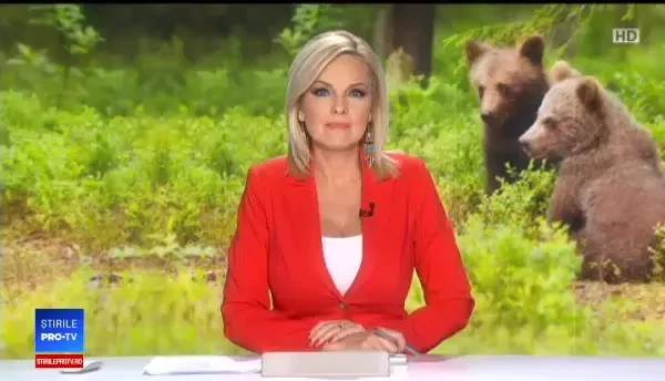 Doi ursuleţi orfani sunt hrăniți cu biberonul. Doi soți îi ajută până când vor prinde puteri