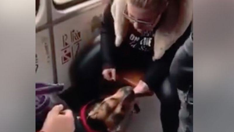 Amendă de 2000 lei pentru femeia care și-a lovit cu pumnii cătelul. A rămas și fără animal