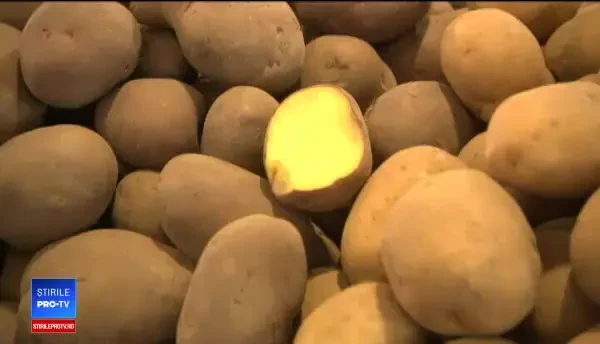 Analiştii şi BNR au avut dreptate: viaţa românilor s-a scumpit la începutul lui 2019