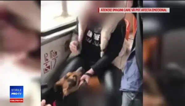 Amendă de 2000 lei pentru femeia care și-a lovit cu pumnii cătelul. A rămas și fără animal