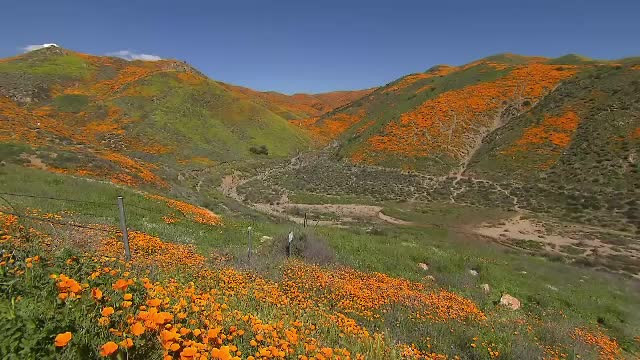 Un peisaj sublim a dat peste cap liniștea unor localnici. Se întâmplă o dată la 10 ani