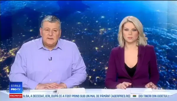 Momentul în care 3 căței sunt salvați dintr-un bazin cu smoală, la Timișoara