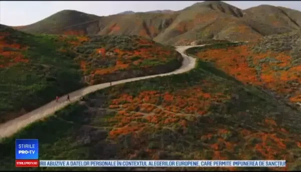 Un peisaj sublim a dat peste cap liniștea unor localnici. Se întâmplă o dată la 10 ani