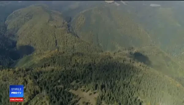 PSD vrea să ofere cadou peste 600.000 de hectare de pădure bisericii. Cine se opune