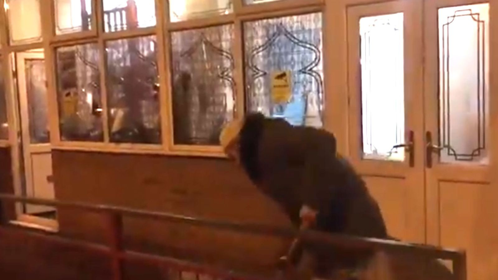 Atacuri cu ciocanul la cel puțin 4 moschei din Marea Britanie. VIDEO