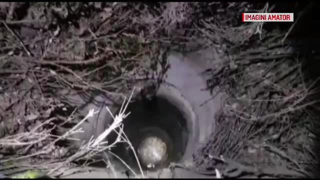 O fată de 15 ani a căzut într-o fântână părăsită din Caracal. A fost scoasă în hipotermie