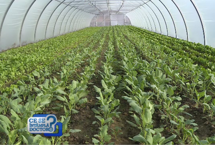 De ce e periculos să mâncăm prea sănătos primăvara. Copiii riscă boli grave